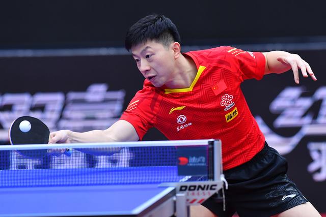 这无疑证明 这无疑证明